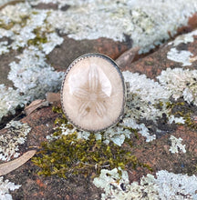Load image into Gallery viewer, Size 7.25 | Fossilized Sand dollar (C)