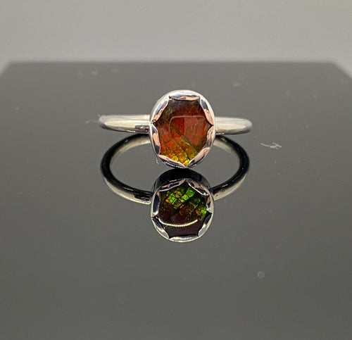 Size 5.75 | Ammolite