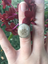 Load image into Gallery viewer, Size 7.25 | Fossilized Sand dollar (C)