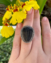Load image into Gallery viewer, Size 8 | Trilobite Ring