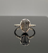 Load image into Gallery viewer, Size 5.25 | Little Trilobite
