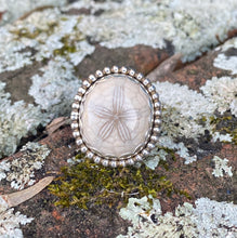 Load image into Gallery viewer, Size 6.75 | Fossilized Sand Dollar Ring (A)