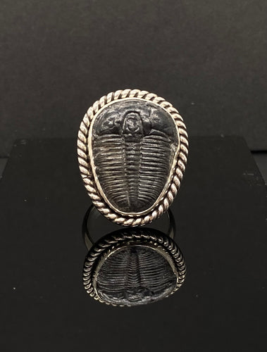 Size 8 | Trilobite Ring
