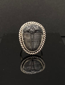 Size 8 | Trilobite Ring