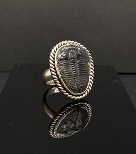 Size 8 | Trilobite Ring