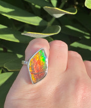 Load image into Gallery viewer, Size 7 | Ammolite Freeform Ring
