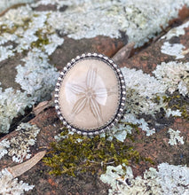 Load image into Gallery viewer, Size 6.5 | Fossilized Sand Dollar (B)