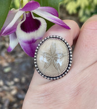 Load image into Gallery viewer, Size 6.5 | Fossilized Sand Dollar (B)