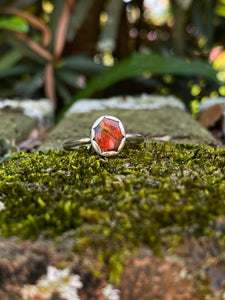 Size 5.75 | Ammolite