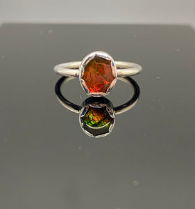 Size 5.75 | Ammolite