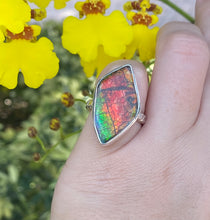 Load image into Gallery viewer, Size 7 | Ammolite Freeform Ring