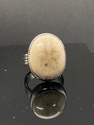 Size 7.25 | Fossilized Sand dollar (C)