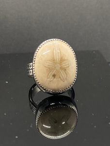 Size 7.25 | Fossilized Sand dollar (C)