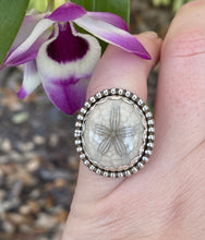 Load image into Gallery viewer, Size 6.75 | Fossilized Sand Dollar Ring (A)