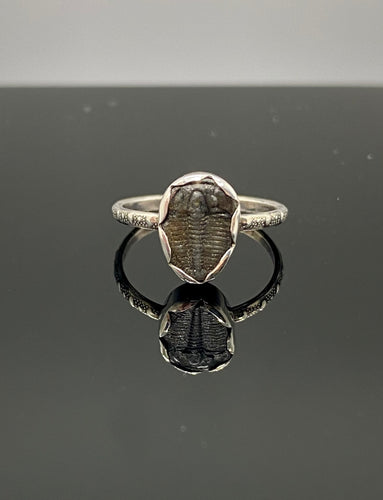 Size 5.25 | Little Trilobite