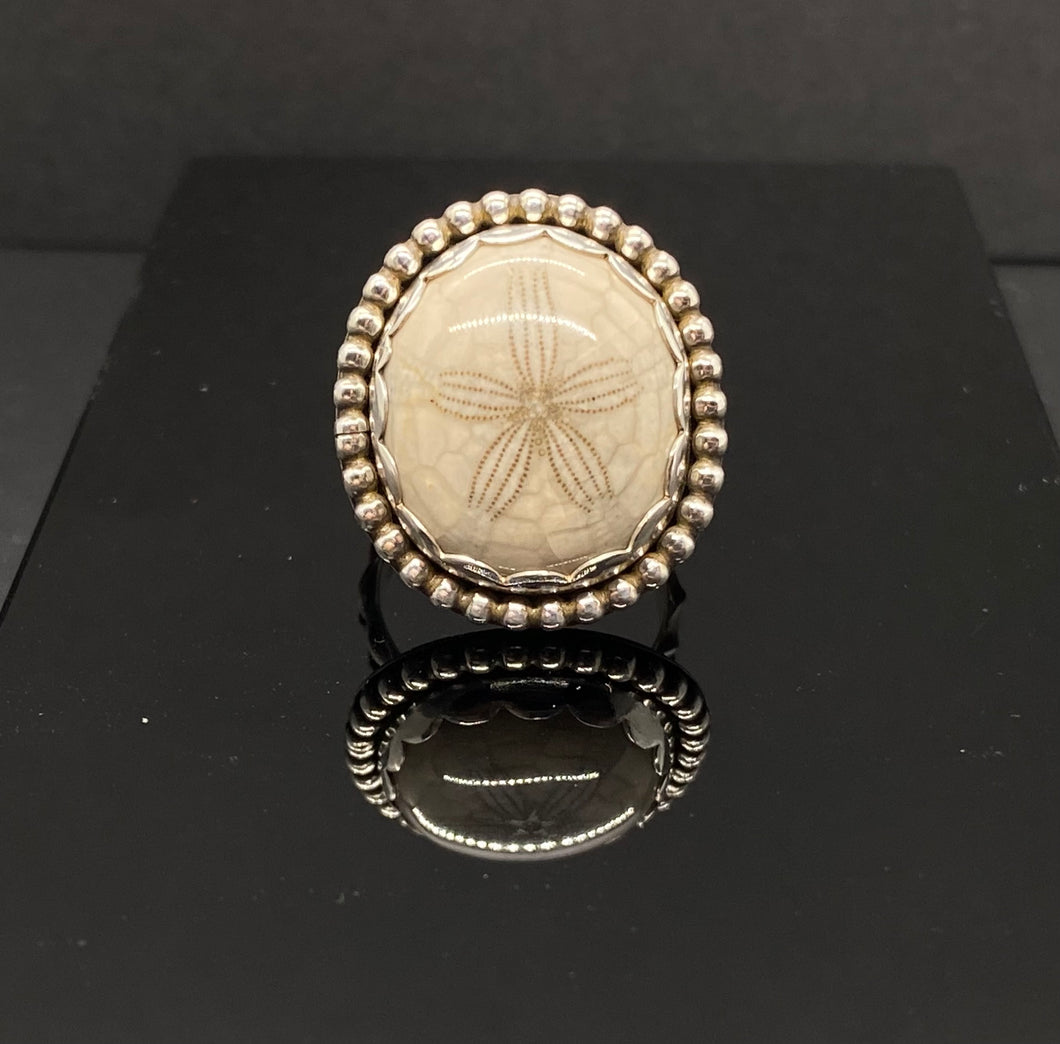 Size 6.75 | Fossilized Sand Dollar Ring (A)