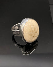 Load image into Gallery viewer, Size 7.25 | Fossilized Sand dollar (C)