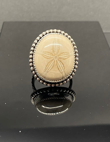 Size 6.5 | Fossilized Sand Dollar (B)