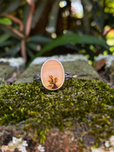 Load image into Gallery viewer, Size 7.5 | Den Agate (b)